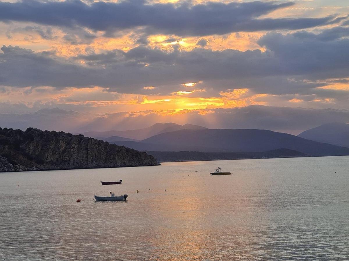 Flisvos Hotel Tolón Dış mekan fotoğraf
